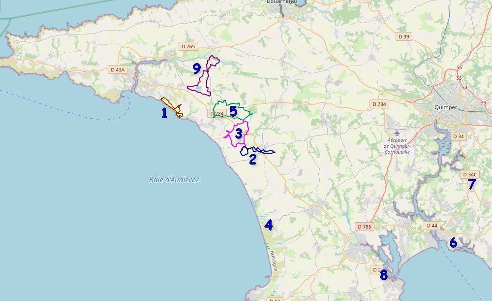 carte