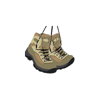 chaussures